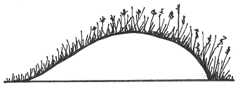 soil_berms_fig2